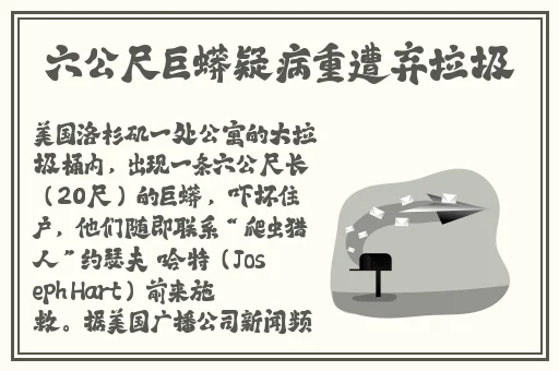 日本精品视频在线视频高清